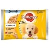 Karma Pies Pedigree Junior Kurczak-Wołowina-Ryż 4*100 G Mars Sasz