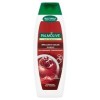 Szampon Do Włosów Palmolive Głębia Koloru 350 Ml Colgate