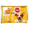 Karma Pies Pedigree Galaretka Kurczak Jagnięcina 4*100 G Mars
