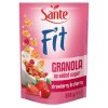 Płatki Sante Granola Fit Malin-Trusk Bez Cukru 300 G