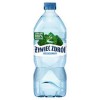 Woda Żywiec Zdrój Ngaz 1 L Pet