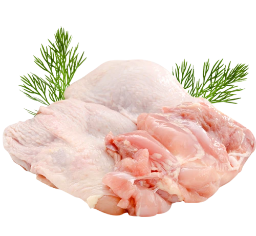 noga trybowana.png
