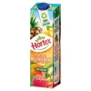 Sok Hortex Multiwitamina 100% 1 L Krt