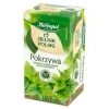 Herbata Exp Herbapol Zielnik Polski Pokrzywa 20*1,5  G