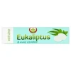 Dropsy Mieszko Eukaliptus 32 G