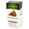 Herbata Exp Big-Active Zioła Mnicha Na Oczyszczanie 20*2 G Herbapol