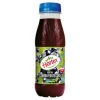Nektar Hortex Czarna Porzeczka 100% 300 Ml Pet