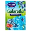 Galaretka Gellwe Borówkowa 72 G Foodcare