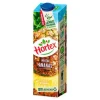 Nektar Hortex Ananasowy 1 L Krt