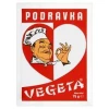 Przyprawa Vegeta 75 G Podravka