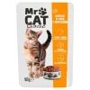 Karma Kot Mr Cat Kurczak 100 G Mw Dobry Wybór Sasz