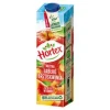 Nektar Hortex Jabł-Brzosk 1 L Krt