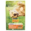 Karma Pies Friskies Balance Sucha 500 G Nestle